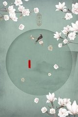 芒果视频